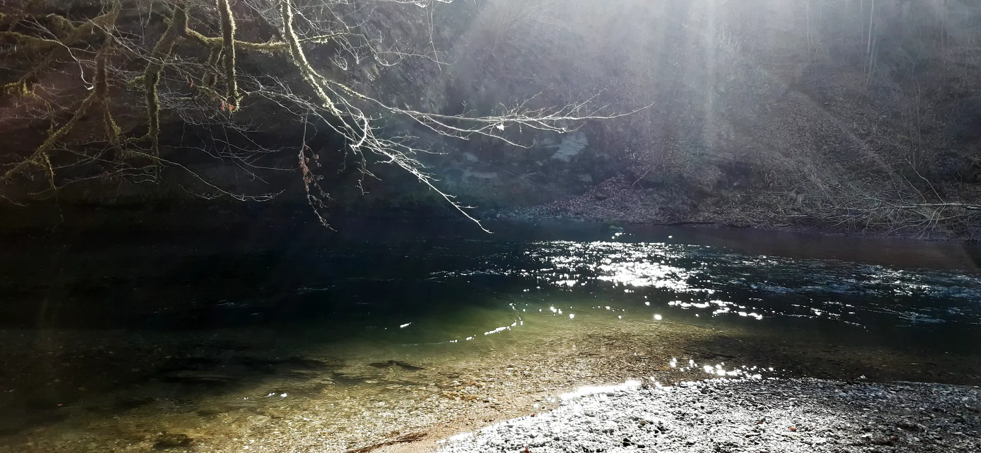 Rivière baignée de lumière en Gruyère, près des cabinets d'hypnose de Riaz et Marly